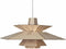PM5 XL hanglamp