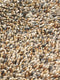 Brink en Campman - Rocks 70501 Vloerkleed - 250x350 - Rechthoek - Laagpolig,Structuur Tapijt - Modern - Meerkleurig