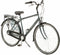 AMIGO Bright - Herenfiets 28 inch - Fiets met 3 versnellingen - Antraciet