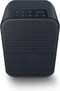 Bluesound Pulse Flex 2i - Draagbare Draadloze Muziek Streaming Luidspreker - WiFi Bluetooth - Zwart