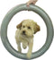 Fitpaws Donut Houder 55 Cm Pvc Grijs