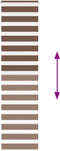 vidaXL - Zebra - rolgordijn - 65x200 - cm - stofbreedte - 60,9 - cm - polyester - bruin