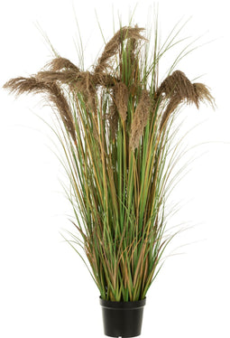 J-Line pampas Gras 13 Koppen In Pot - kunststof - groen/beige - large
