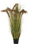 J-Line pampas Gras 13 Koppen In Pot - kunststof - groen/beige - large