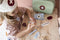 Little Dutch - Houten speelgoed doktersset - Inclusief thermometer en stethoscoop - Groen