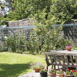 Tildenet Walk-in Fruitkooi Starterkit 1,8 m x 3,7 m - Buizenframe met Afdeknet