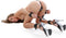 Electradeel - Heavy-Duty Hogtie Kit - Handboeien - Zwart