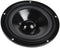 Visaton W 170 S - Bas-luidspreker 50W 8 Ω - Frequentiebereik 36-6000 Hz - Zwart