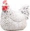 Tuinfiguur broedende kip | wit | 24x18x20cm