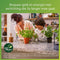 Philips Pebblo plafondlamp - Ultra Efficient - SceneSwitch - 10W - warmwit licht - Zwart met goud design