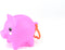 Pocket Money Piggies - Kawaii Pack