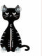 POES THERMOMETER