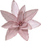 Poinsettia fluweel d30h15 cm proze