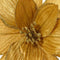 Poinsettia pesfluweel d30h15 cm goud