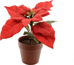 Poinsettia zijde pot d16h14 cm kerstrood