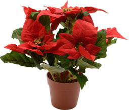 Poinsettia zijde pot d16h27 cm kerstrood
