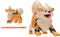 Pokémon Evolution Multi Set - Growlithe en Arcanine
