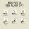 Pokon RHP Bonsai Potgrond - 5l - Potgrond (Bonsai) - 60 dagen voeding