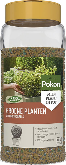 Pokon Voedingskorrels voor Groene Planten - 800gr - 180 dagen voeding - Plantenvoeding