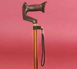 Pols lusje voor wandelstok : zwart