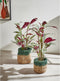 pomax nourio jute manden set van 3