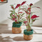 pomax nourio jute manden set van 3