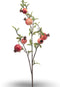 Pomegranate spray 82 cm Emerald