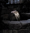 Pontec 73349 Stortkoker voor waterval (b x h x d) 395 x 193 x 303 mm 1 stuk(s)