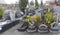 Pontec - Fonteinpomp - Pondovario 2500