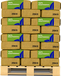 Pootaardappelen Agria A 28/35 - 1000 Kg - Plantgoed - Nak-Gecertificeerd - Goede Resistentie Tegen Knol-Phytophthora - Geschikt Voor Klei- En Zandgronden - Bij Voorkeur Direct Na Oogst Gebruiken - Oogst In 140 Dagen - Organifer