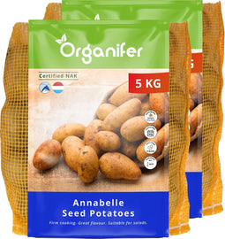 Pootaardappelen Annabelle A 28/32 - 10 Kg - NAK-Gecertificeerd - Plantgoed - Korte Groeiseizoenen, Oogst Na 90 Dagen - Lang Ovale Knolvorm - Geschikt Voor Verschillende Grondsoorten En Zware Kleigronden - Hoge Opbrengst - Organifer