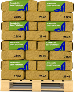 Pootaardappelen Annabelle A 28/32 - 1000 Kg - NAK-Gecertificeerd - Plantgoed - Korte Groeiseizoenen, Oogst Na 90 Dagen - Lang Ovale Knolvorm - Geschikt Voor Verschillende Grondsoorten En Zware Kleigronden - Hoge Opbrengst - Organifer