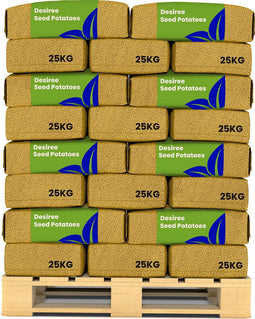 Pootaardappelen Desiree A 28/35 - 1000 Kg - Nak-Gecertificeerd - Plantgoed - Oogst Binnen 120 Dagen - Rode Schil En Lichtgeel Vleeskleur - Resistentie Tegen Phytophthora In Het Loof - Droogtebestendigheid - Geschikt Voor Zandgronden - Organifer