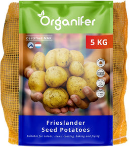 Pootaardappelen Frieslander A 28/35 (5 kg)