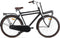 Popal Daily Dutch Basic+ Transportfiets - 28 Inch Fiets voor Heren - 50 cm - 3 Versnellingen - Terugtraprem - Matzwart