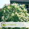 Poster Beach Life #2 - 30x40cm - Premium Museumkwaliteit - Uit Eigen Studio HYPED.®