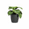 Pot - ARTEVASI - SAN REMO - 30 br - Antraciet