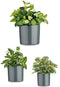 Pottenset Ø 14 cm Ø 22 cm Ø 17 cm Cilinder 3 Onderdelen Antraciet