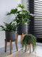 Pottery Pots Bloempot Charlie Feet Low Black Washed-Grijs-Zwart D 47 cm H 63 cm