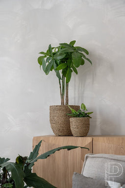 pottery pots bloempot Cody