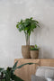 pottery pots bloempot Cody