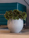 pottery pots bloempot mini orb - grijs - medium