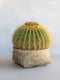 Pottery Pots bloempot Nala Bamboe Laag L29 x B29 x H12.5 cm