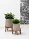 Pottery Pots - Bloempot - Patt Feet Low Grey Washed - Grijs/Beige - D 28 cm H 29 cm - Plantopening 18 cm