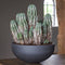 Pottery Pots Morgana Antraciet-Zwart Plantenschaal Plantenbak voor op tafel diameter 43.5 cm hoogte 19 cm plantopening 42 cm