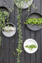 Pottery Pots Plantenpot Wally (hanging) XS Fiberstone Grey | Ø:30 x H:9