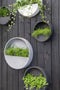 Pottery Pots Plantenpot Wally (hanging) XS Fiberstone Grey | Ø:30 x H:9