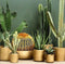 Pottery Pots Schaal-Plantenbak Eileen Goud D 24 cm H 9 cm