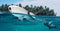 PowerVision PowerDolphin Standard