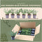 Plants by Frank | 1 strekkende meter bonte Kardinaalsmuts heg | 6x Euonymus fortunei 'Emerald Gaiety' Ø12 cm - 20 cm | winterharde haagplanten | Groenblijvende haag | Tuinplanten | Planten